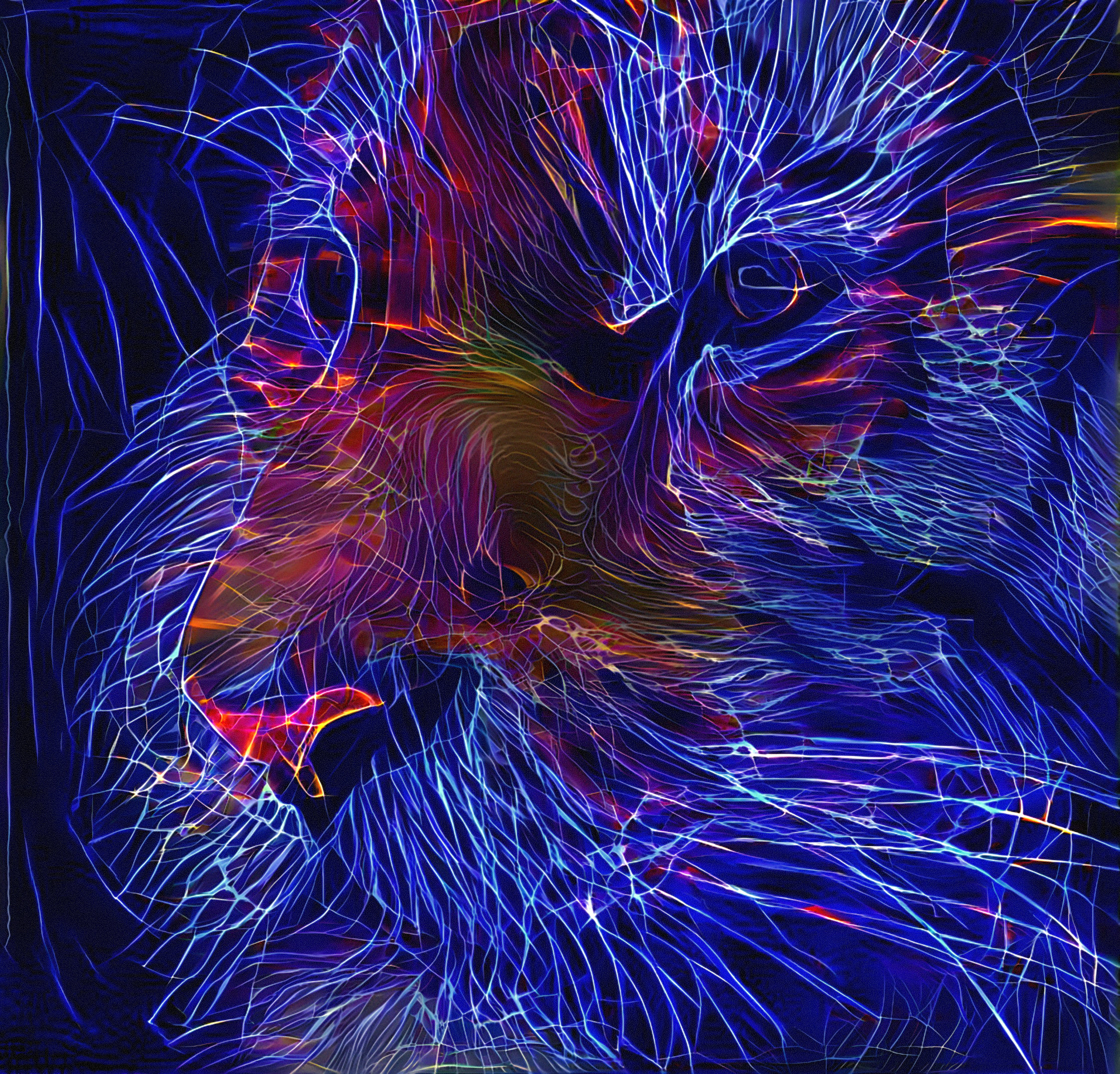 Electro-Stringy Tiger.jpg