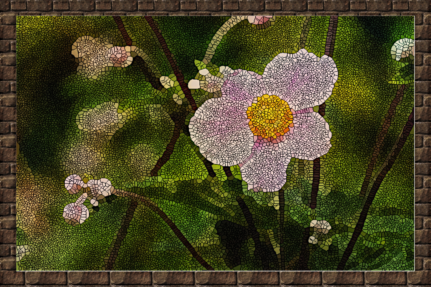 anemone-1610920_DN_Simple_Graphics_Mosaic_Texture_Coloree.jpg