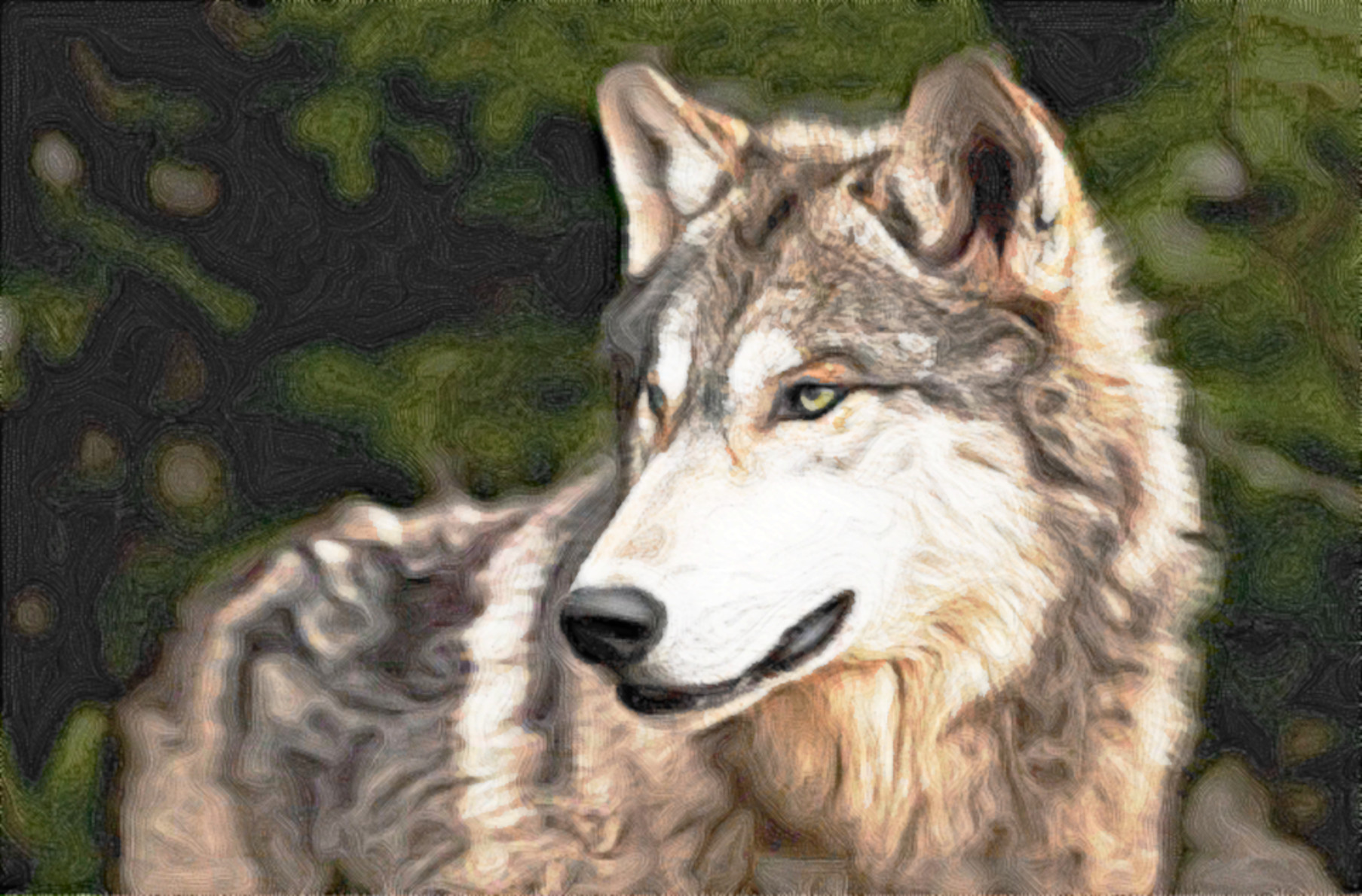 The-Timber-Wolf_DN_Simple_Graphics_CR2_Paint_Coleurs_Rayees_vM.jpg