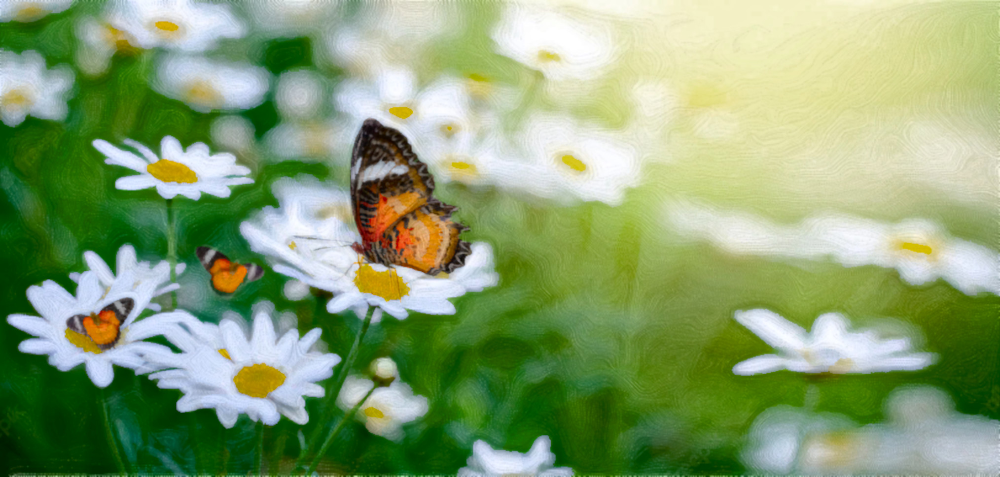 yellow-orange-butterfly-is-white_DN_Simple_Graphics_CR2_Paint_Coleurs_Rayees_vM.jpg