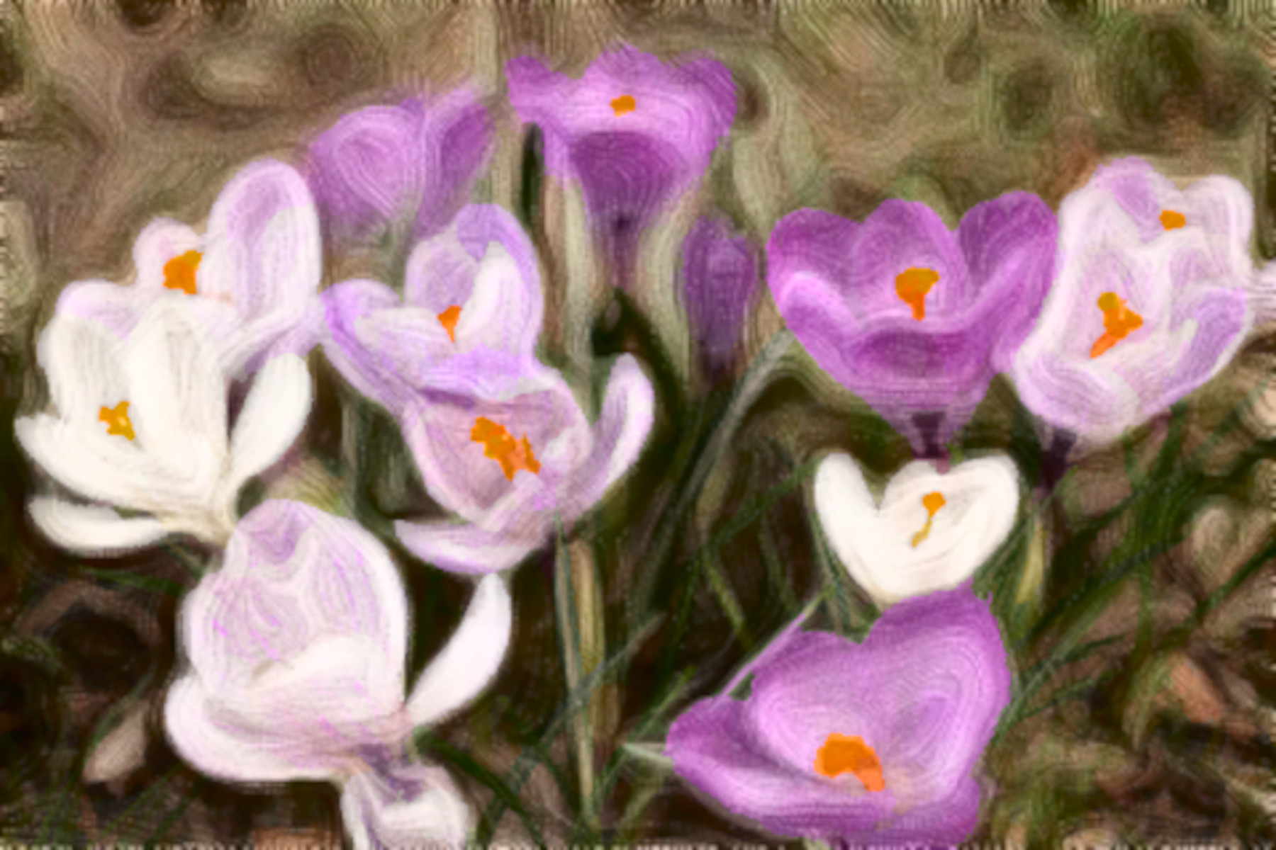 closeup-shot-white-purple-spring-crocus_181624_DN_Simple_Graphics_CR2_Paint_Coleurs_Rayees_vM_B.jpg