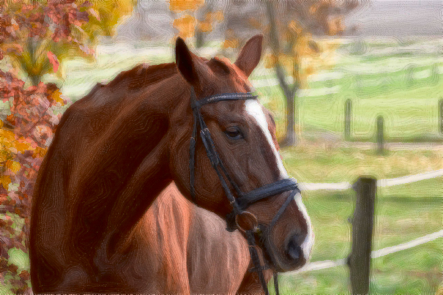 horse-4847088_DN_Simple_Graphics_CR2_Paint_Coleurs_Rayees_vM_R.jpg