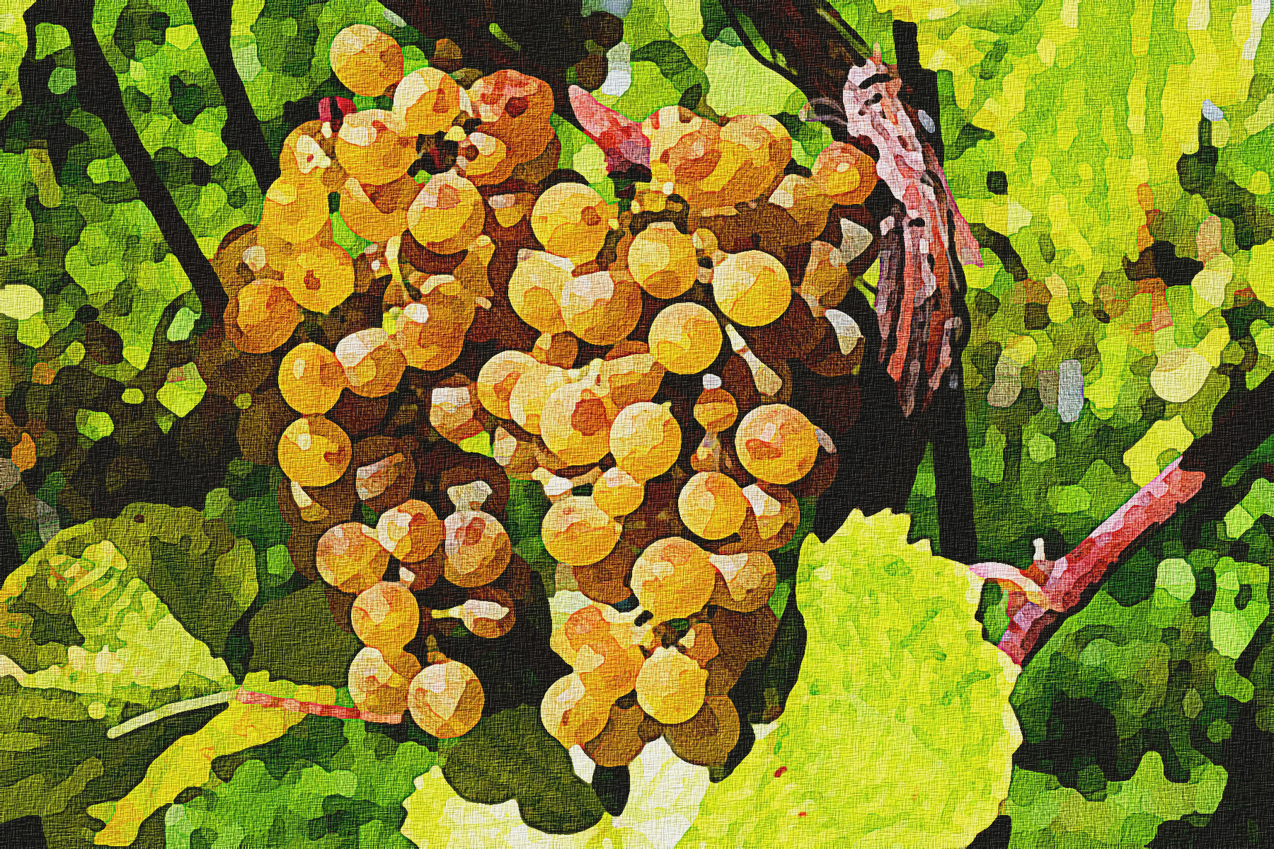 grapes-2715711_DN_Artistic-FreePainting-FPSstroke81-20c-h.jpg