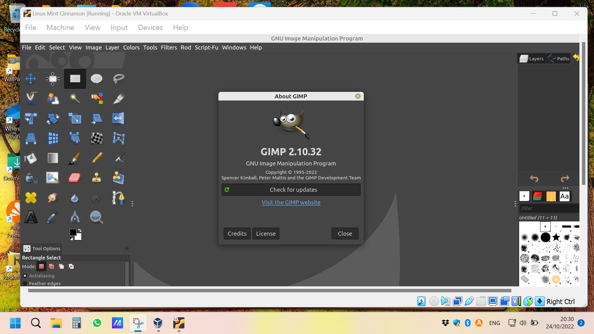 Gimp 2.10.32 in VirtualBox 01.png