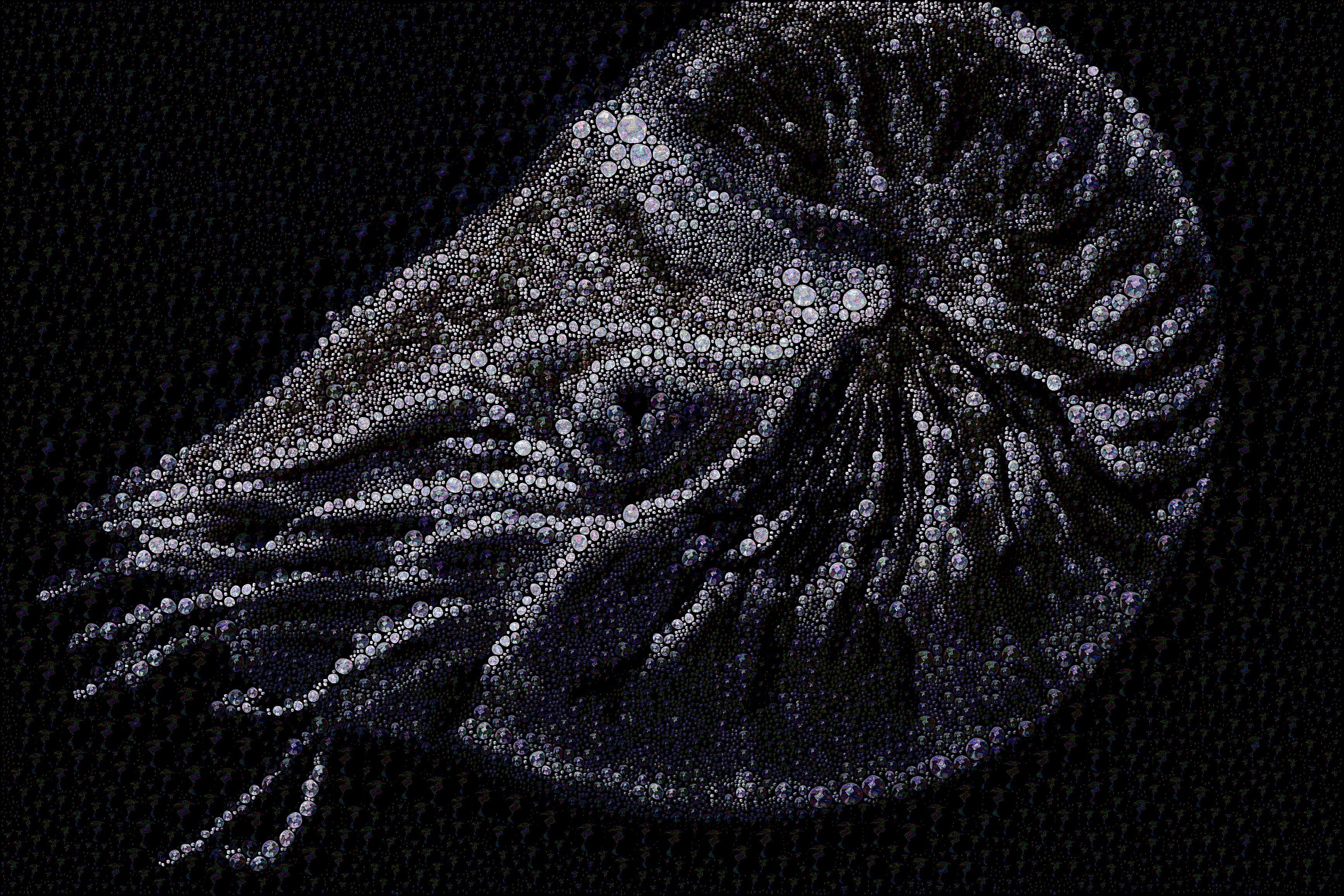 Effervescent Nautilus.jpg