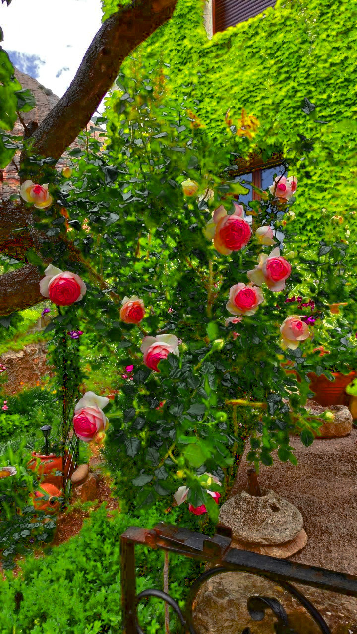 Rose Bouquet.jpg