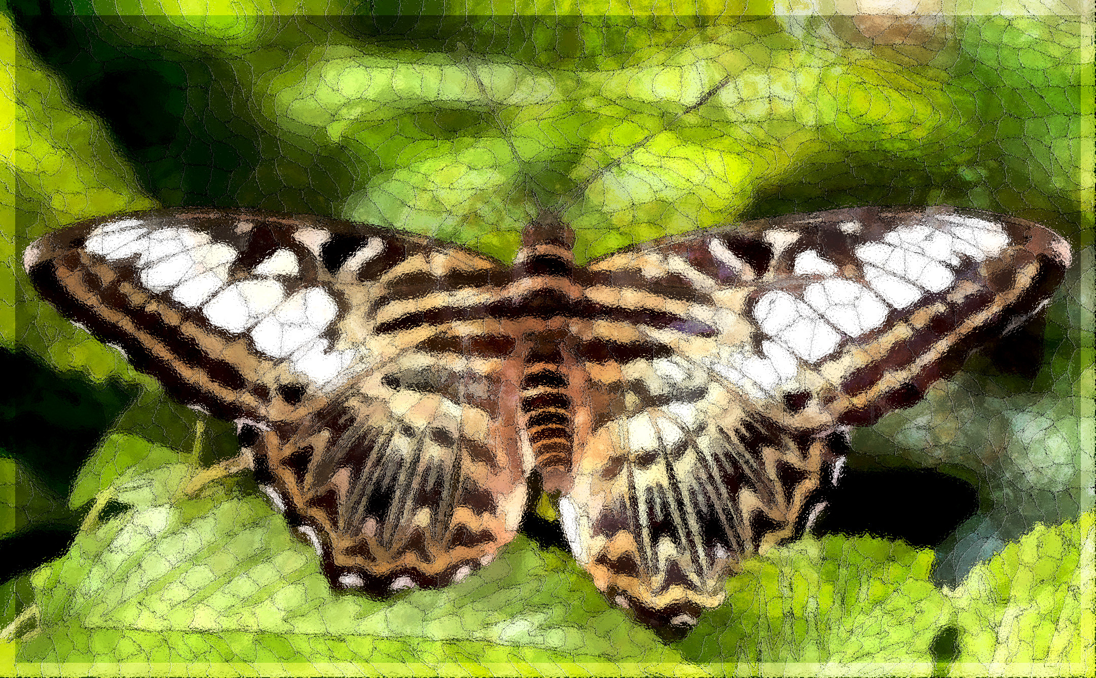 butterfly-8062144_DN_SimpleMosaic_Glass.jpg