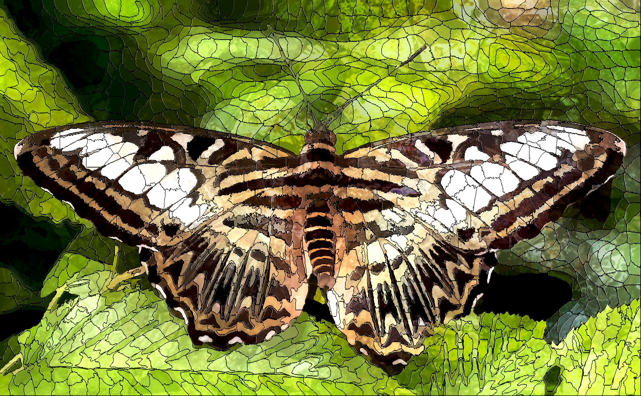 butterfly-8062144_DN_SimpleMosaic.jpg