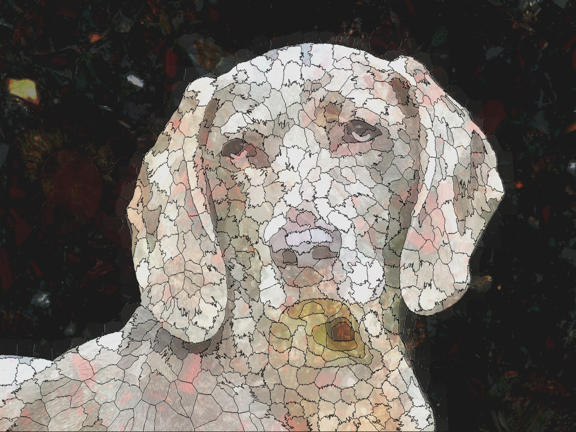 2023-09-02 17-38-32dog-1742295_1920 with a simple mosaic effect.jpeg