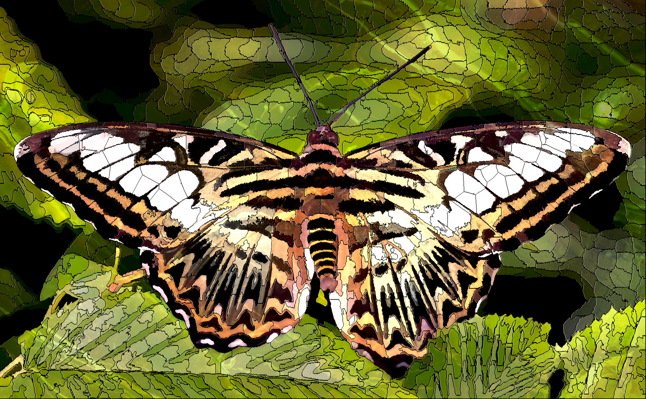 butterfly-8062144_DN_SimpleMosaic_3.3.jpg