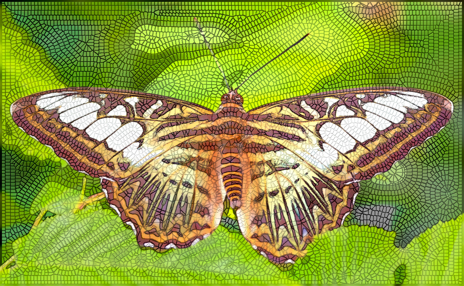 butterfly-8062144_DN_Opus Vermiculatum Vitreum (MosaicRomanStyle) 2023_Presets.JPG