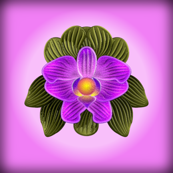 omg_dream_orchid.png