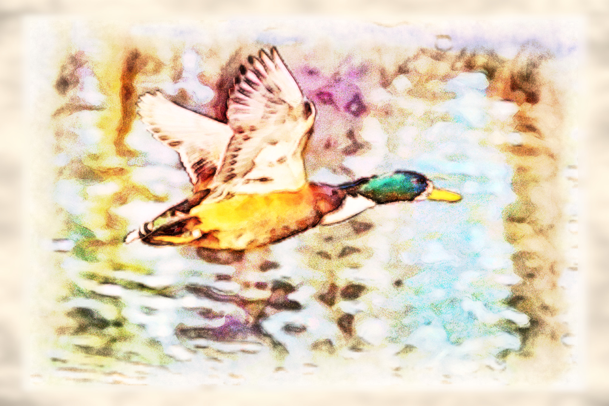 2023-10-02 09-33-42 bird-7802571 with a Watercolor Pastels Effect 2023 (4.0,75.0,32.0,50.0,18.0,8.0,80.0,True,0).jpg