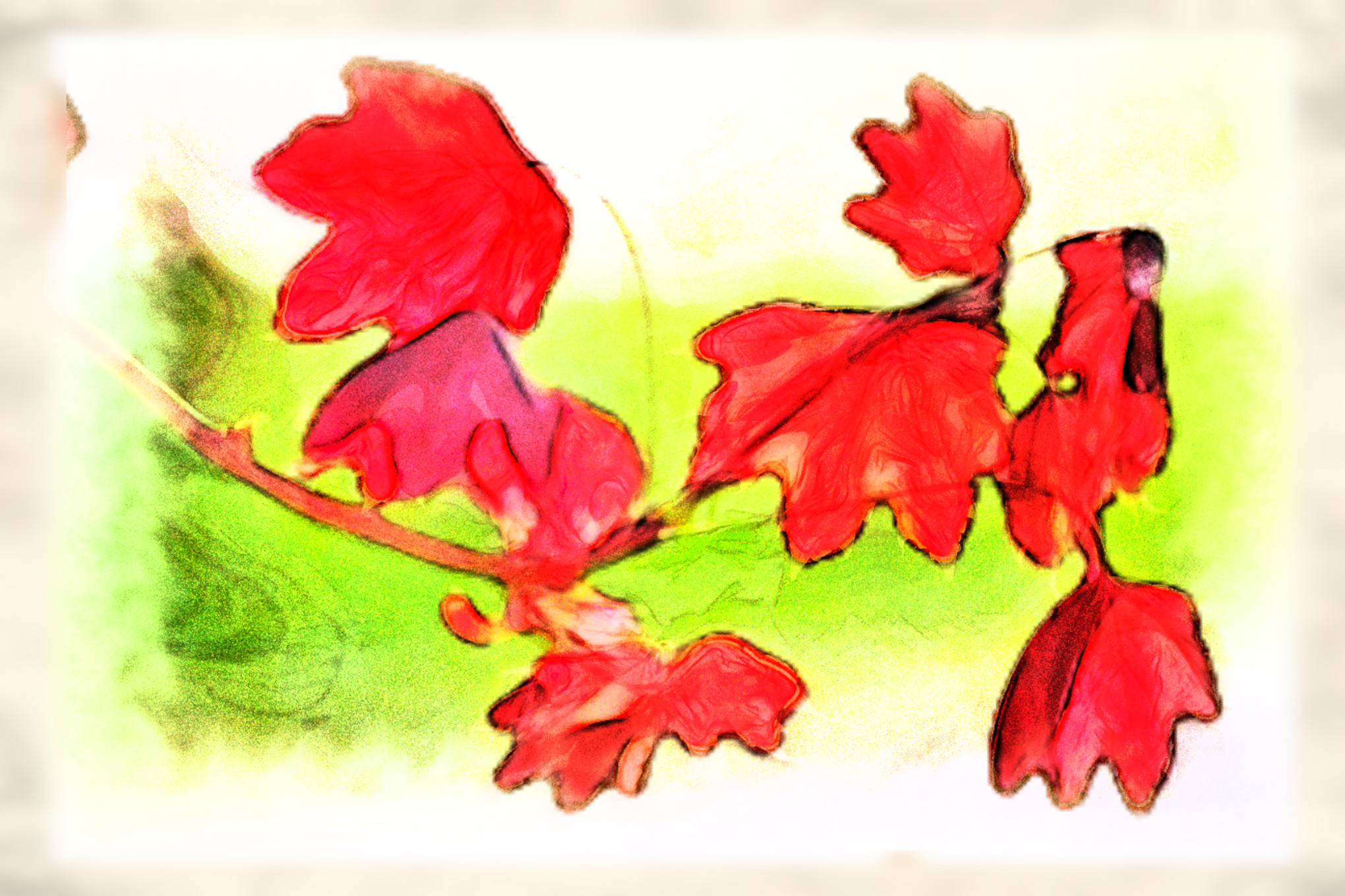 2023-10-04 08-53-47 red-maple-6246624 with a Watercolor Pastels Effect 2023 (20.0,100.0,32.0,50.0,10.0,8.0,75.0,True,0).jpg