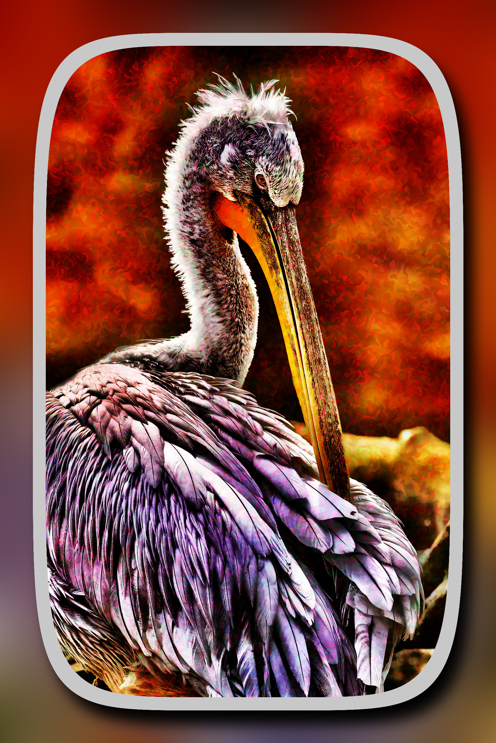 2023-10-04 11-14-19pelican-8023249 with a framed texturized effect, styleCamouflage (prep.step choosen=Local Processing (Equalize)..jpg