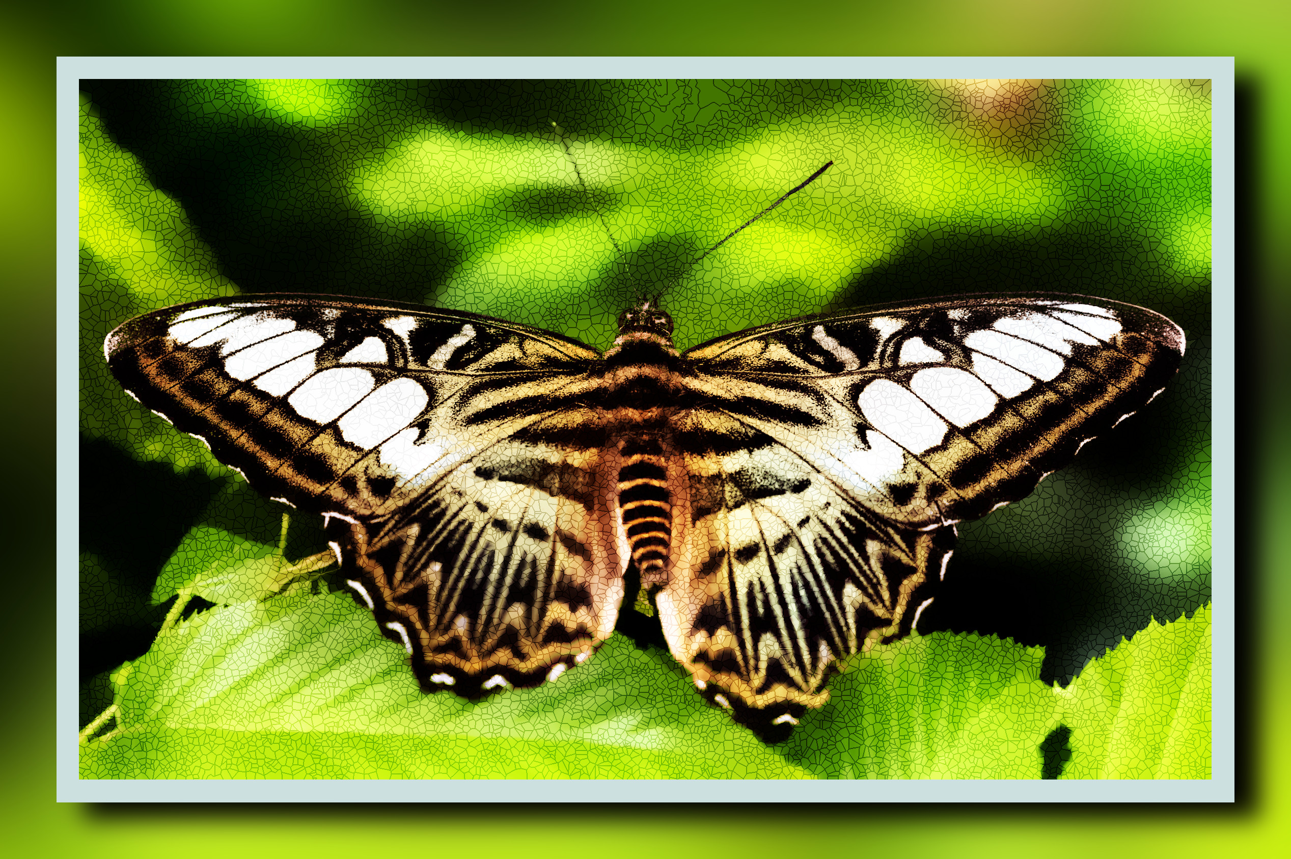 2023-10-04 16-36-51butterfly-8062144 with a framed patterned effect, styleMosaic (prep.step choosen=Local Processing (Normalize)..jpg