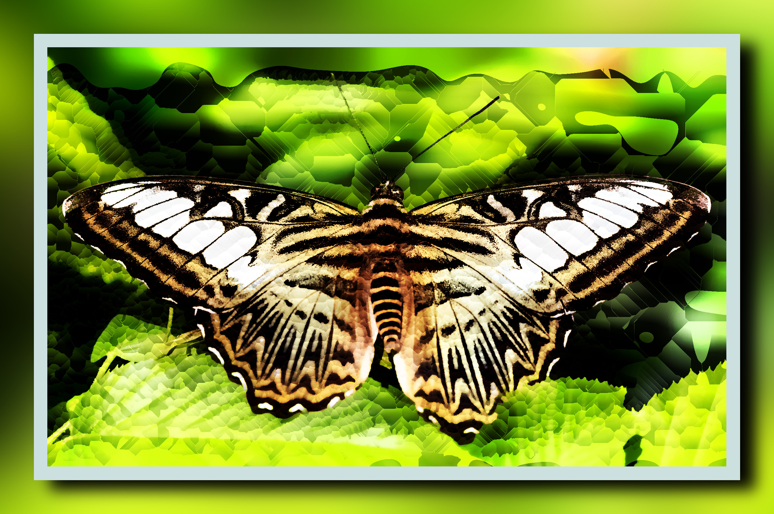 2023-10-04 16-35-31butterfly-8062144 with a framed patterned effect, styleMineral_Mosaic (prep.step choosen=Local Processing (Normalize)..jpg
