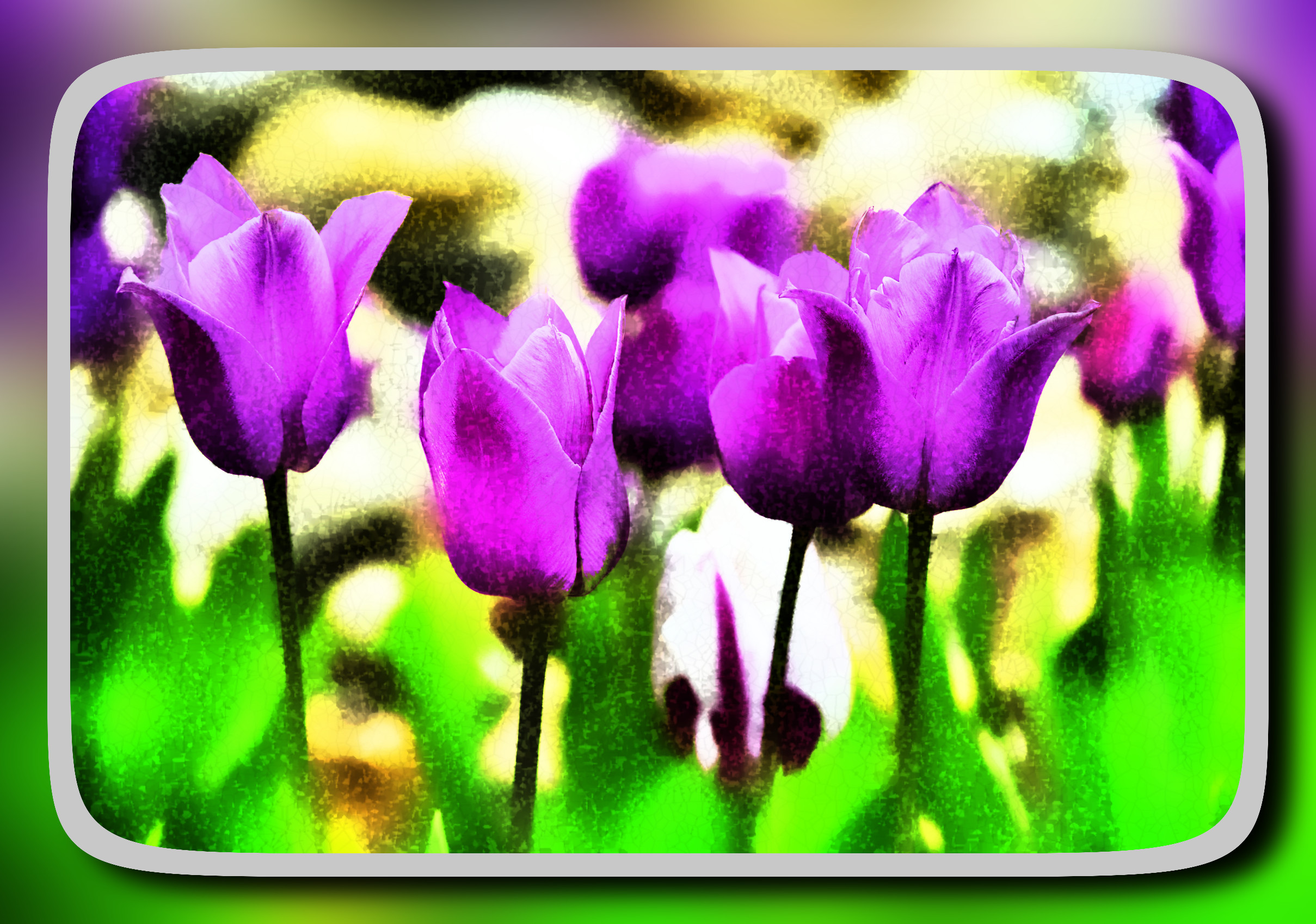 2023-10-07 09-02-53tulips-7948190 with a framed patterned effect, styleCrystal (prep.step choosen=Local Processing (Normalize)..jpg