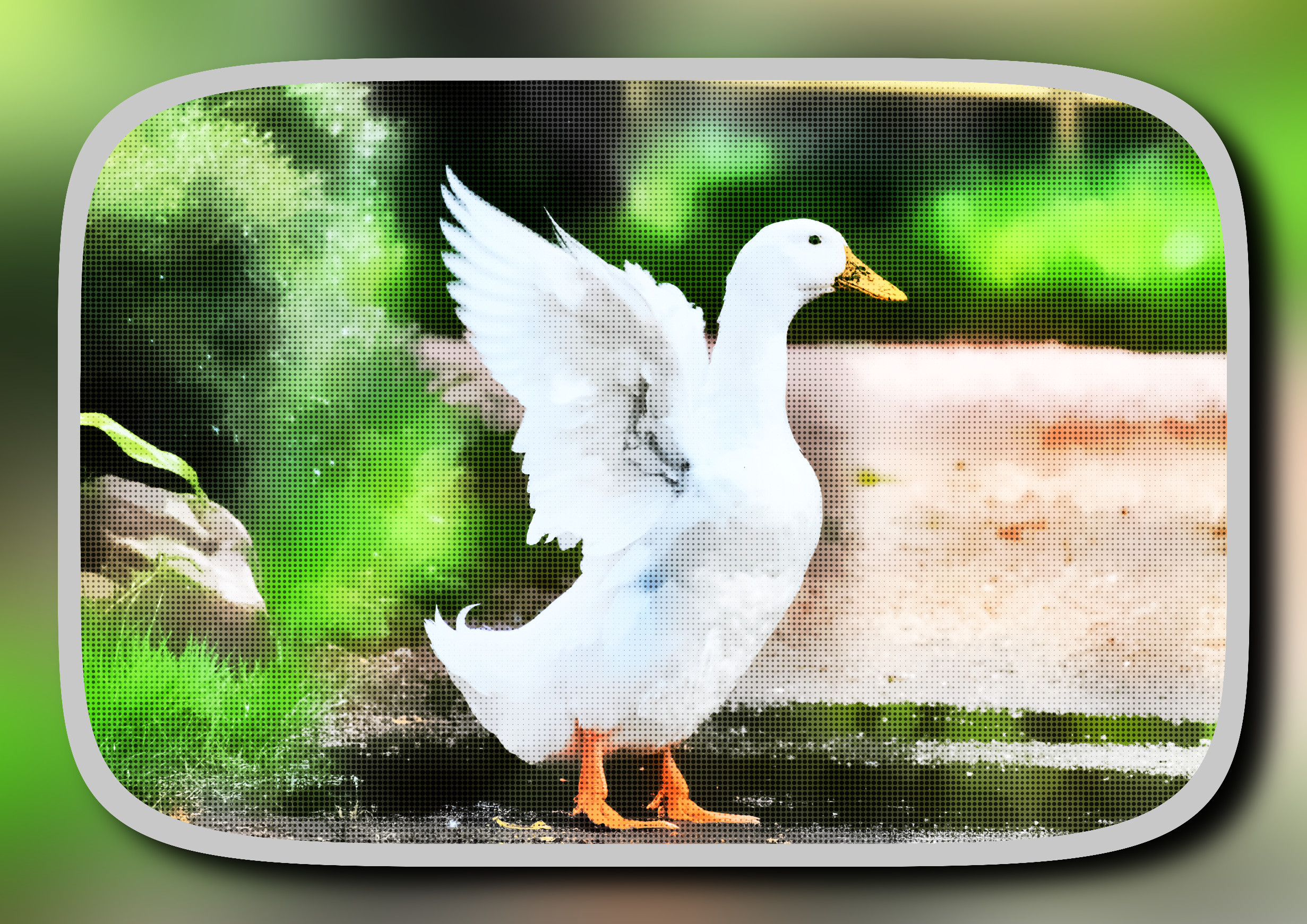 2023-10-08 21-00-32duck-6848584_1920 with a framed patterned effect, styleShapes (prep.step choosen=Local Processing (Normalize)..jpg