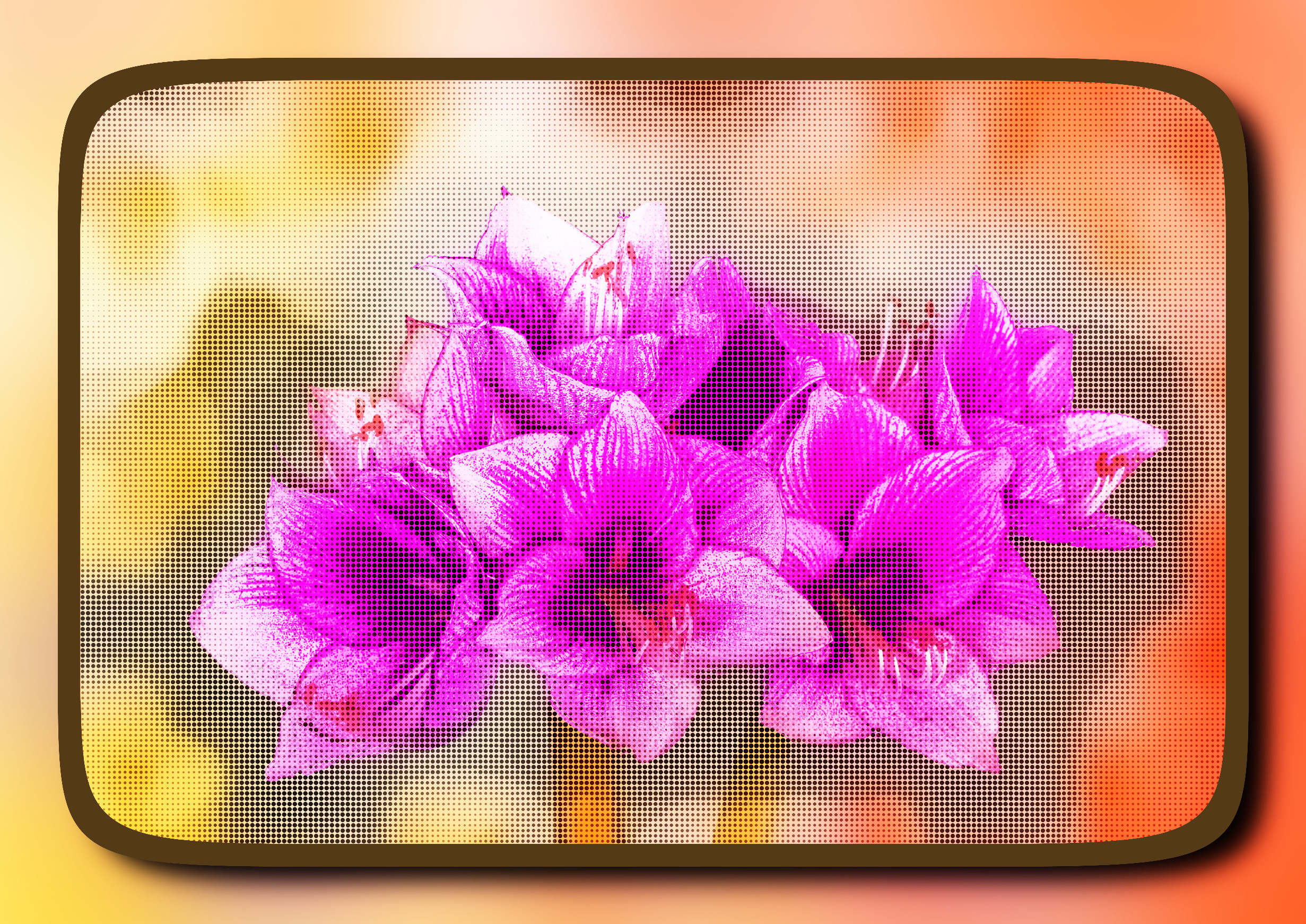 2023-10-09 15-57-39hippeastrum-8298926_1920 with a framed patterned effect, styleShapes (prep.step choosen=Local Processing (Normalize)..jpg