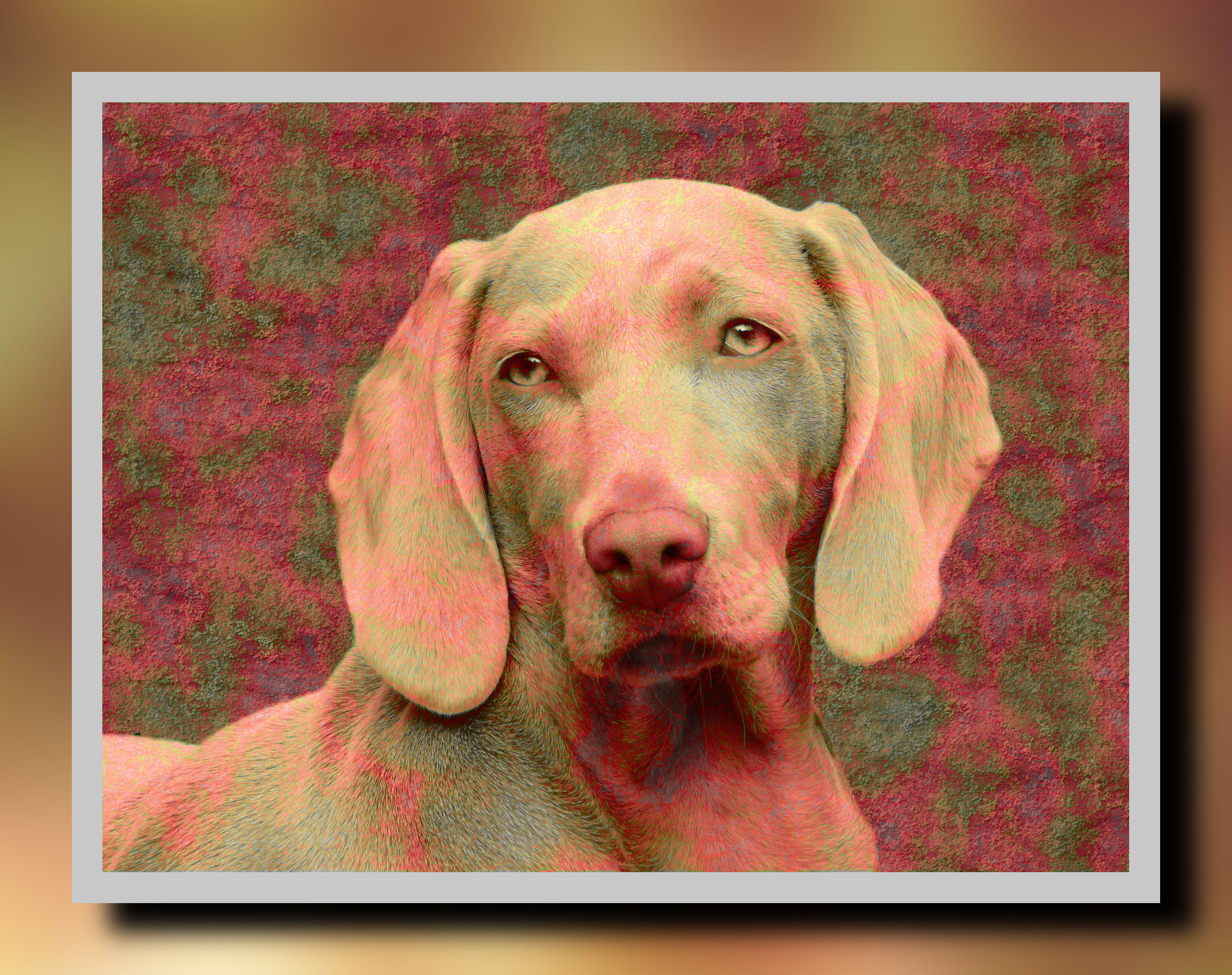 2023-10-11 18-24-12dog-1742295_1920 with a framed patterned effect, styleLava (PATT=LCHcolor).jpeg