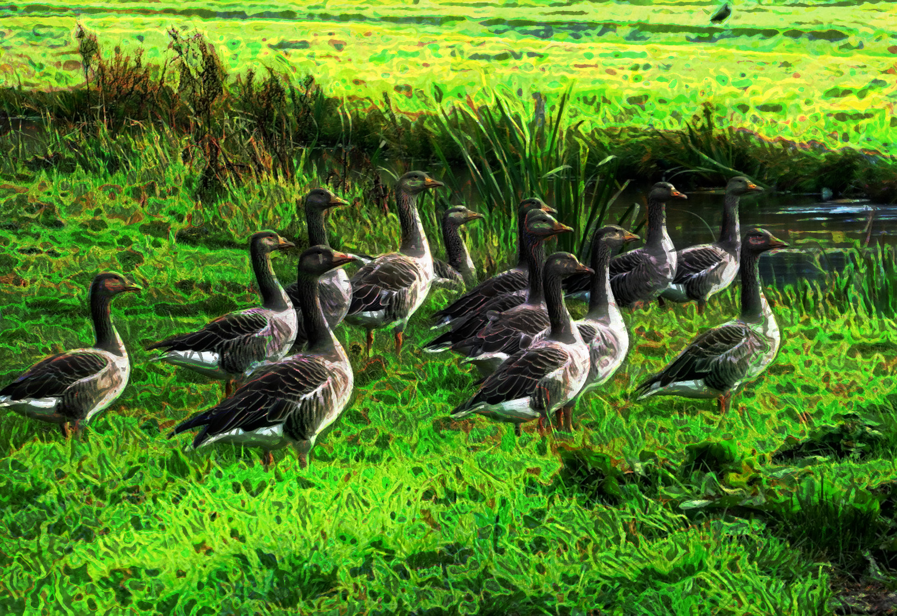 2023-10-14 20-41-27 geese-7898732_1280 with a Quick Effect F (Blur Radial) (abstr.mode=LAYER_MODE_PIN_LIGHT.jpg