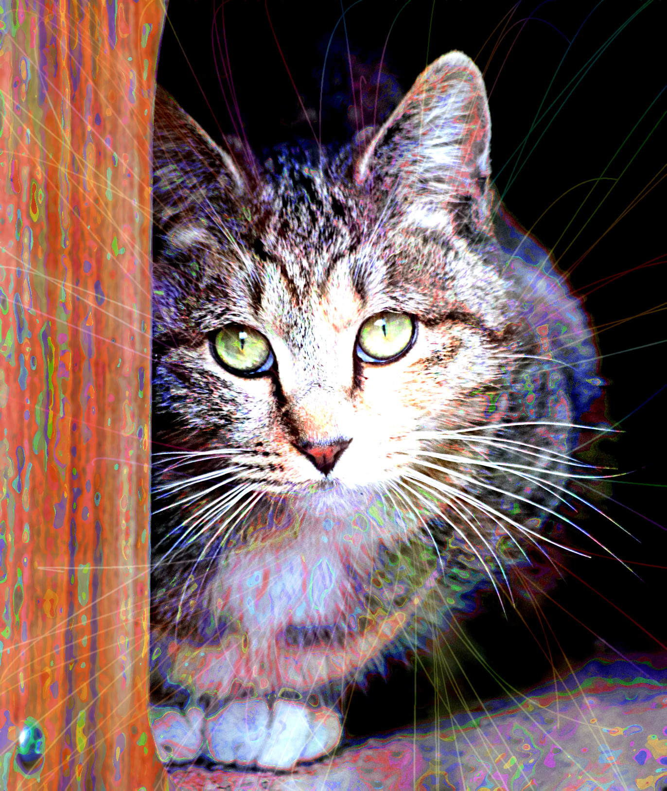 2023-10-14 21-11-36 animal-5959731_1920 with a Quick Effect R (NeonLightning) (abstr.mode=LAYER_MODE_HSL_COLOR.jpg