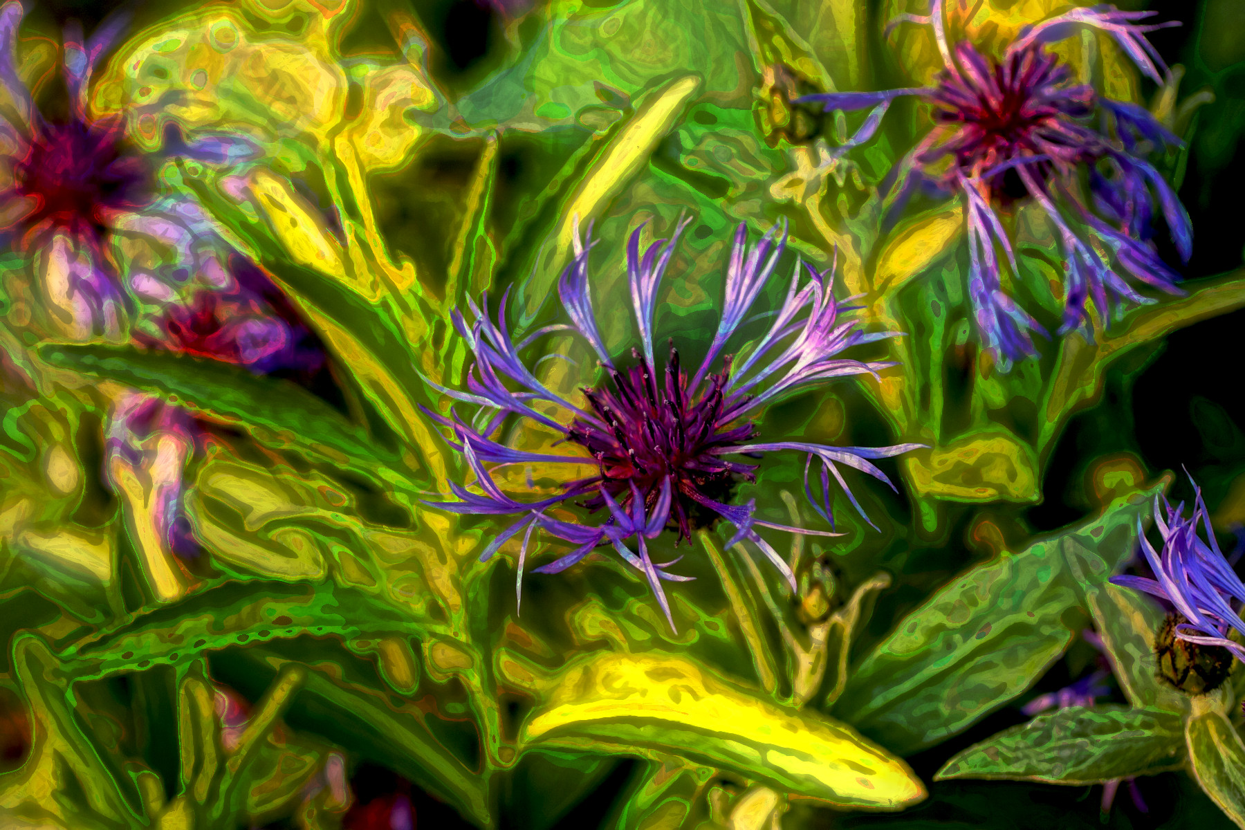 2023-10-15 09-46-09 flowers-8007614_1920 with a Quick Effect B (Blur Splinter (abstr.mode=LAYER_MODE_GRAIN_MERGE.jpg