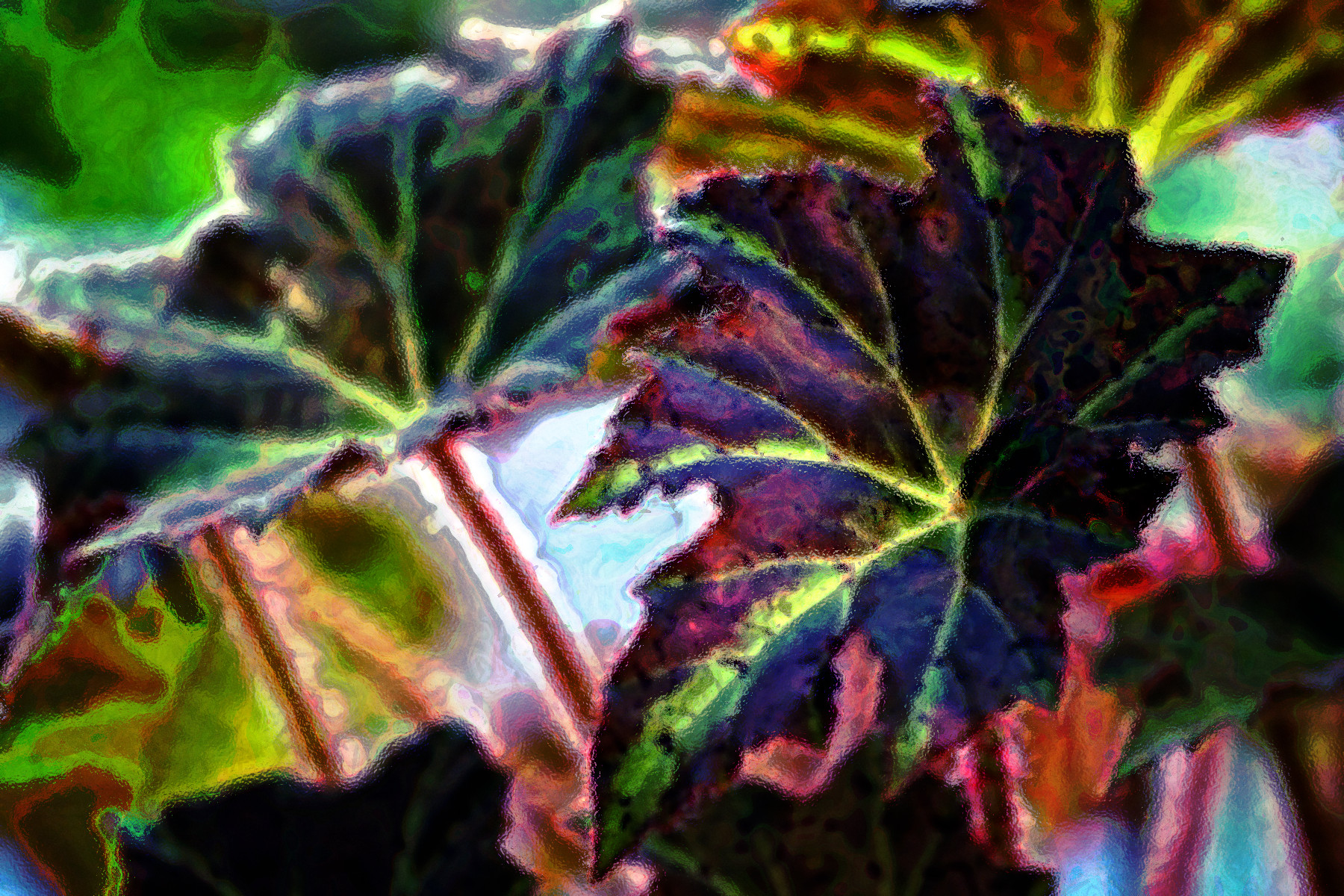 2023-10-15 09-53-39 begonia-8115230_1920 with a Quick Effect H (Textured Glass) (abstr.mode=LAYER_MODE_HARDLIGHT.jpg