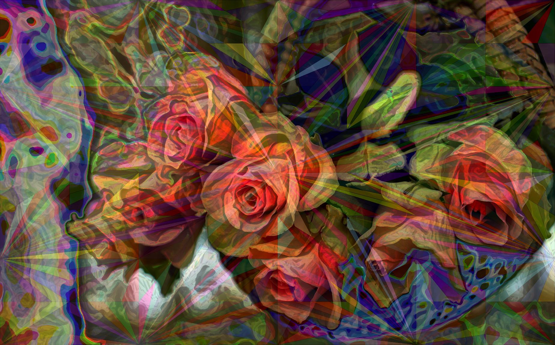 2023-10-19 18-42-07 roses-2205011_1920 with a Quick Effect I (Triangular Pattern) (abstr.mode=LAYER_MODE_MERGE.jpg