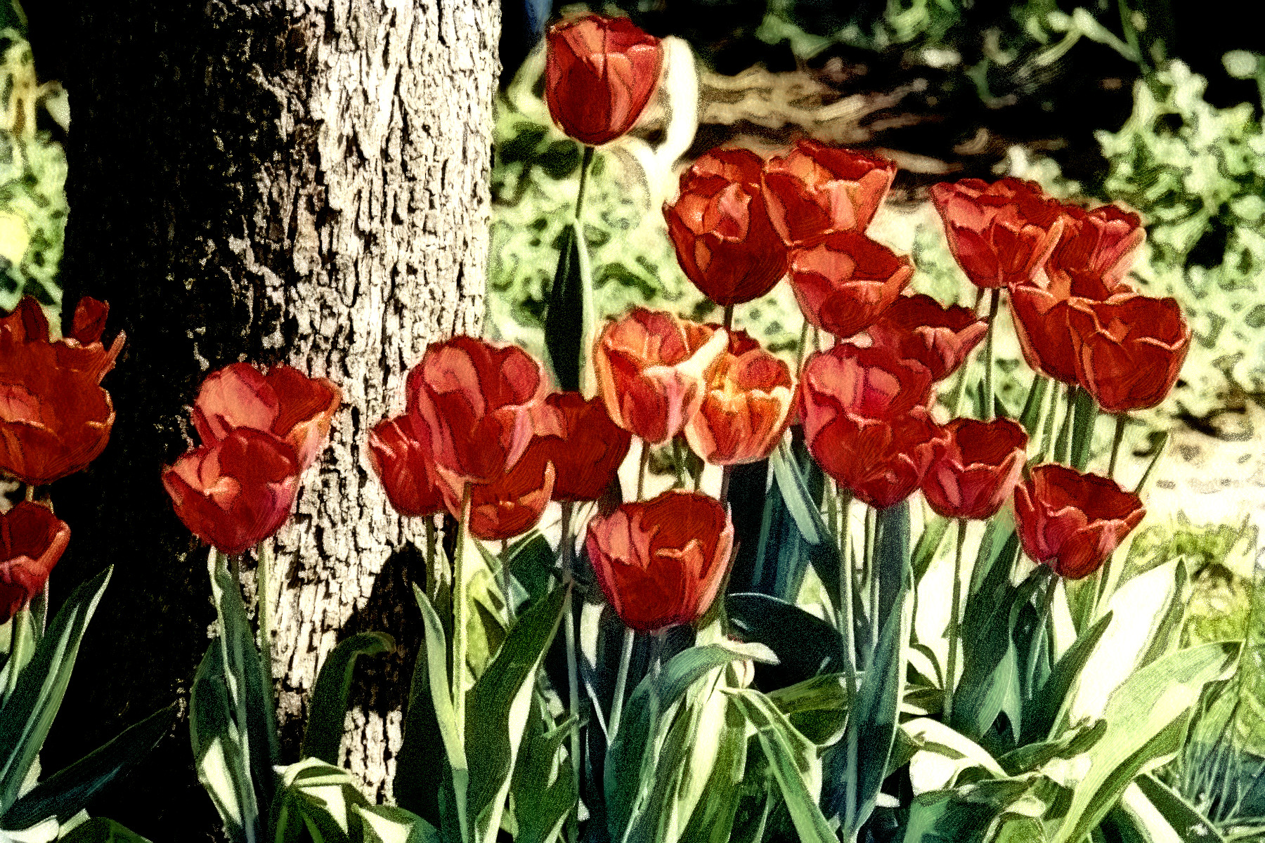 2023-11-03 07-50-35 tulips-4221366_1920 with a Free Paint Effect, paint Morpho, strokes Constr, contour Chalk, poster Comic, toppat HLocks , postpro B&W.jpg