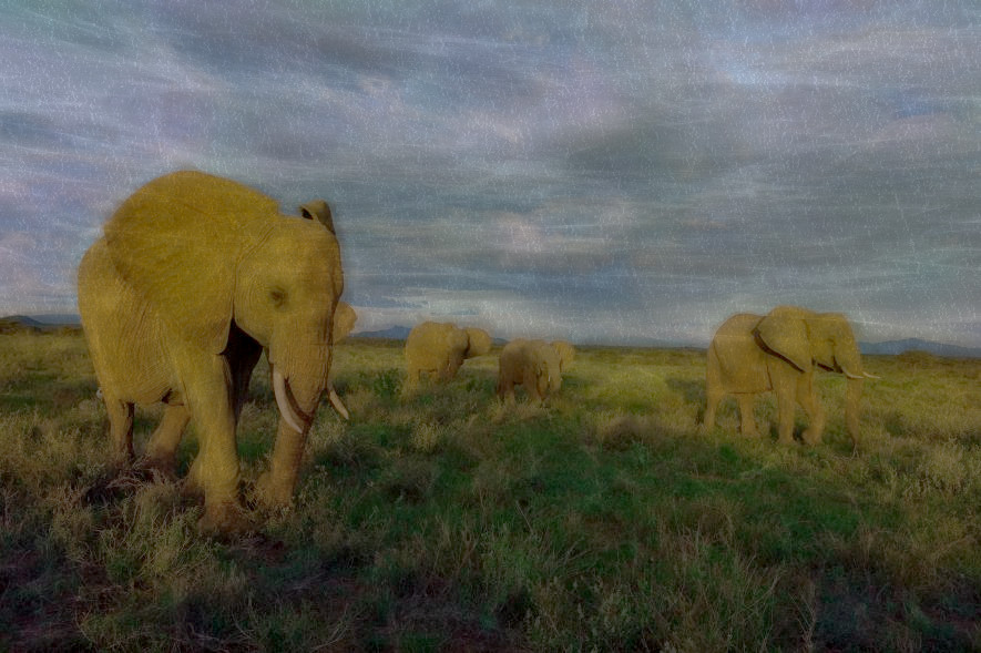 2023-11-05 06-48-28 01-china-ivory-elephants-nationalgeographic_1197704 with a Free Paint Effect, paint Kuwahara, strokes Constr, contour GradN, poster GiPoster, toppat Ghost, postpro Chroma.jpeg