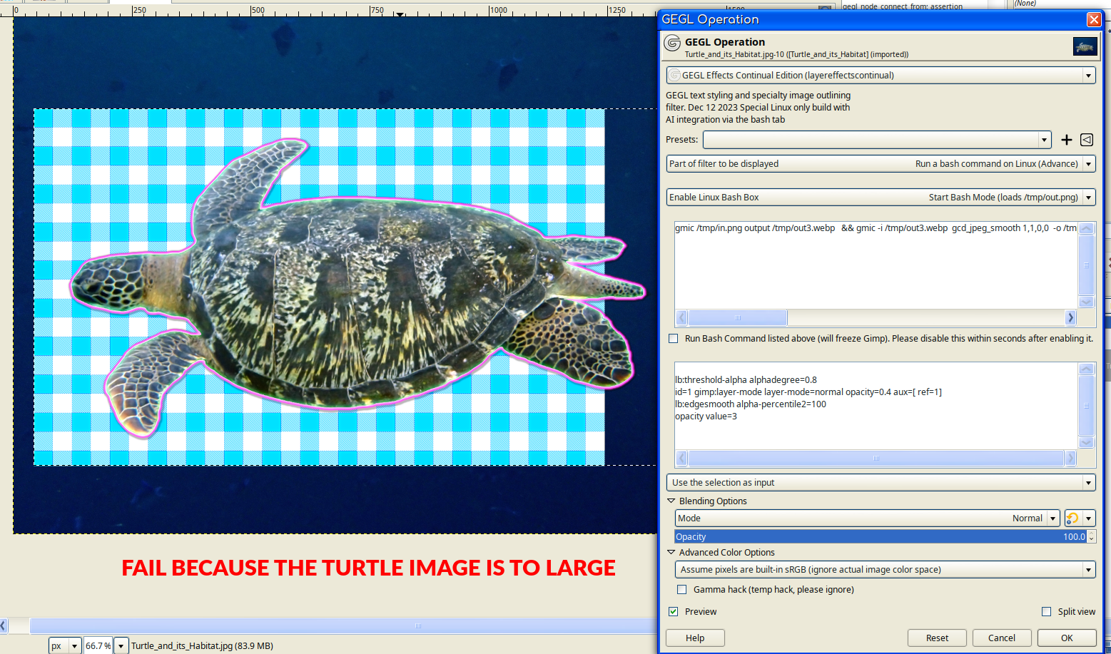 bash_turtle.png
