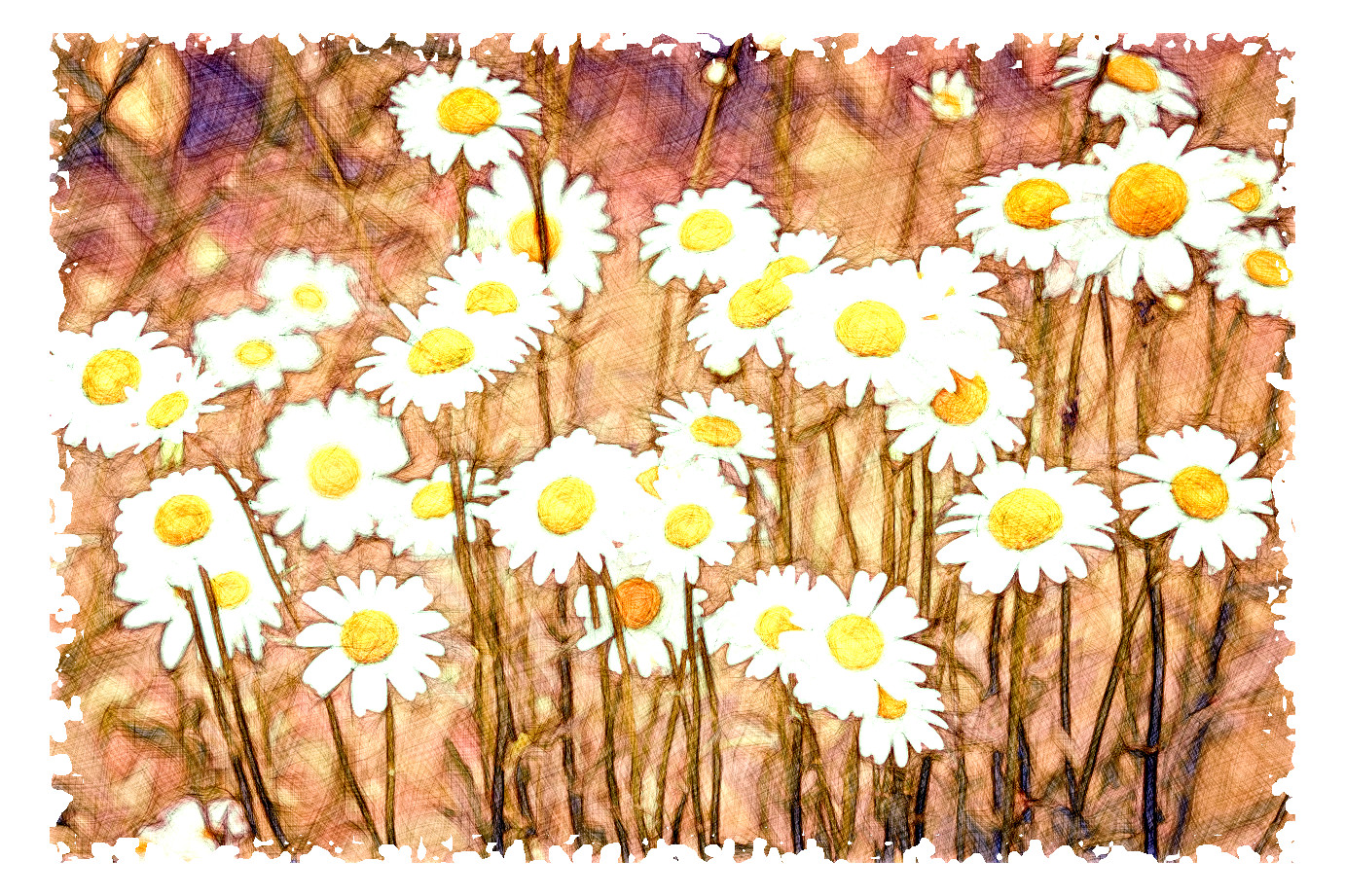 2024-01-03 20-24-50 daisies-3439573_1280 with a Drawing Effect (False,13,5)_N_F.jpg