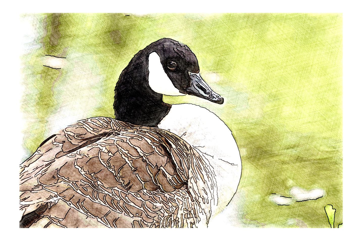 2024-01-05 11-40-47 goose-7996662_1280 with a Drawing Effect (False,16,0).jpg