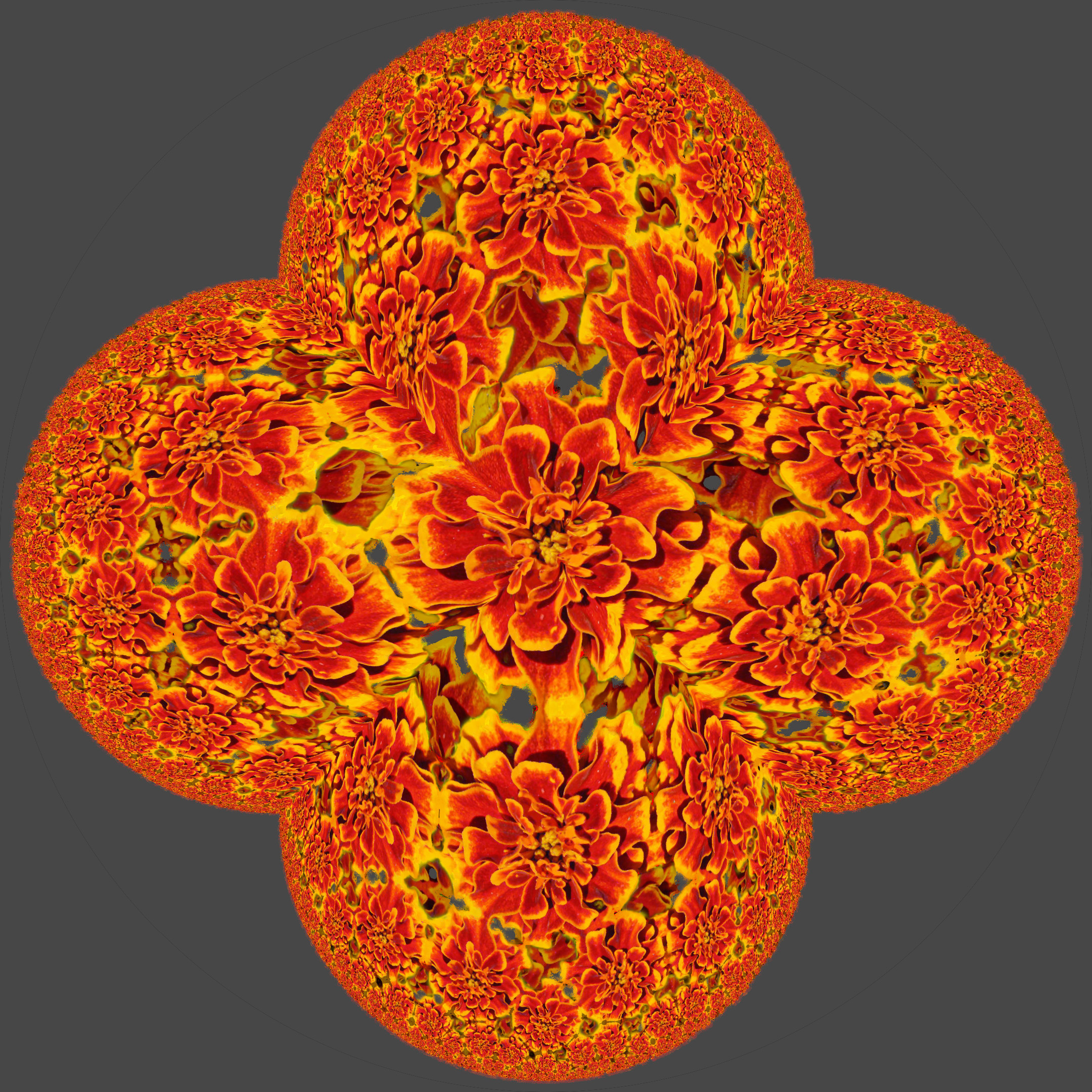 Floral Poincare Disk.SQUAREtoCIRCLE.jpg