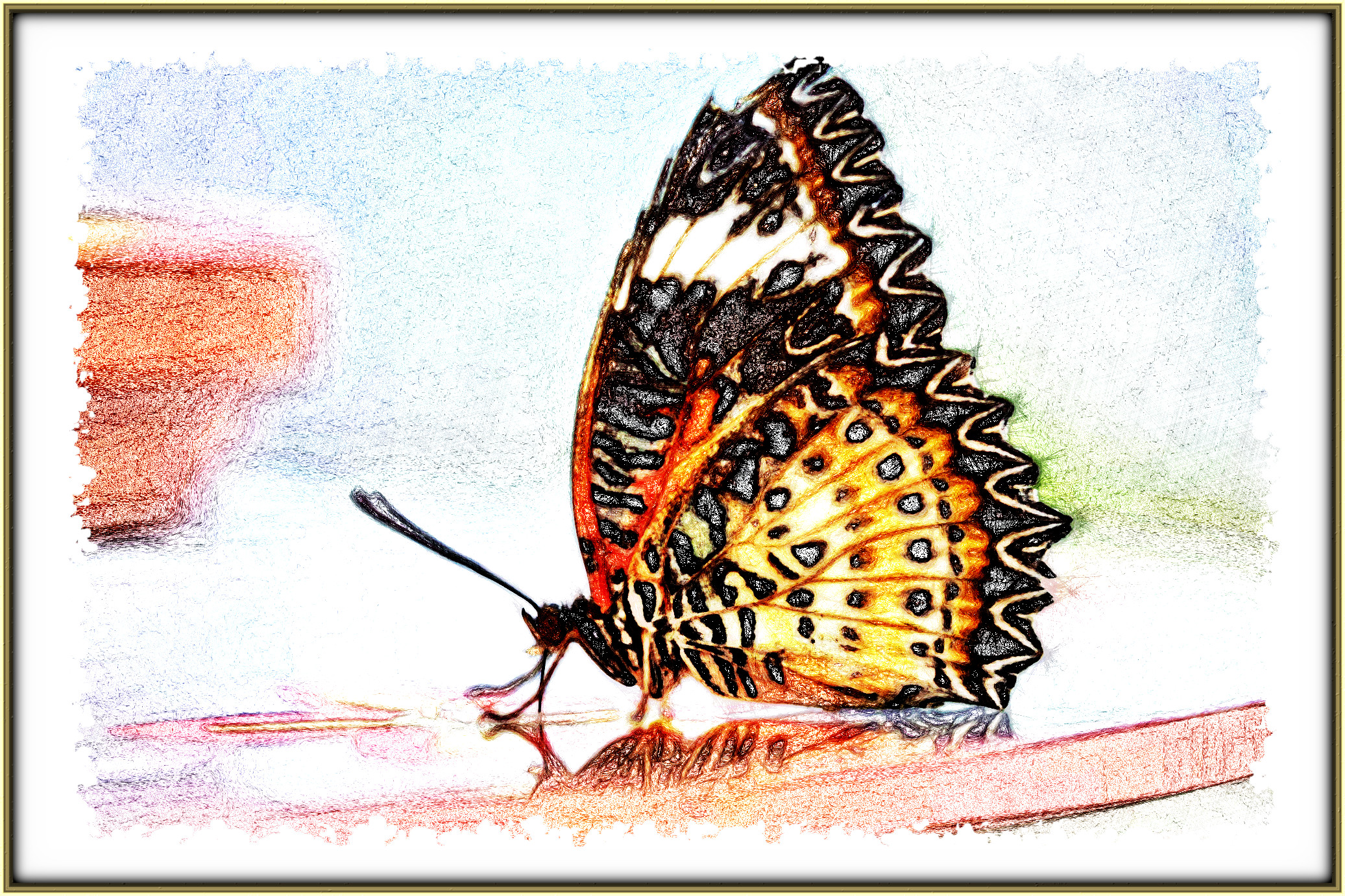 2024-01-09 19-08-18 butterfly-4810014_1920 with a Drawing Effect (True,6,8,0,2).jpg