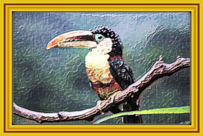 2024-02-05 21-36-46 toucan-214714_1920 with JVID Embossed Graphic Effect, parms=1, 2, 0, 9.0, 10.0, 1.1, 6.0, 2.jpg