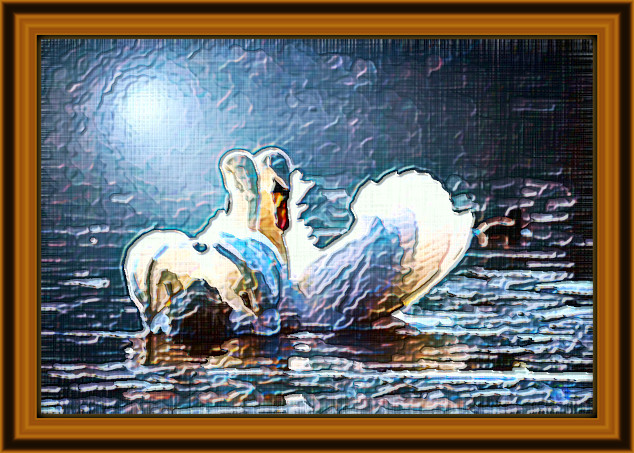 2024-02-05 15-56-29 swan-4013225_1920 with JVID Embossed Graphic Effect, parms=1, 2, 0, 8.5, 9.85, 1.1, 6.0, 0.jpg