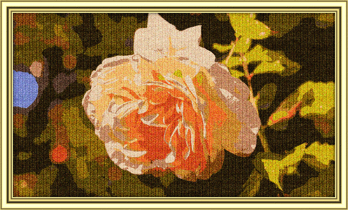 2024-02-25 11-58-31 rose-8092183_1920, having a knitted look, on 13 colour areas, using pattern Knit_New_A360N200.jpg