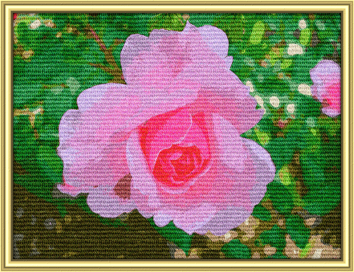 2024-02-25 12-01-34 rose-185961_1920, having a knitted look, on 25 colour areas, using pattern Knit_New_A360R200.png..jpg