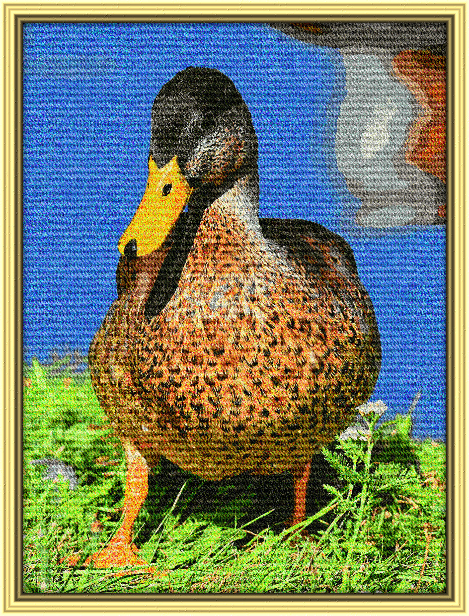 2024-02-25 14-52-08 mallard-3609130_1280, having a knitted look, on 30 colour areas, using pattern Knit_New_A360R200.png..jpg