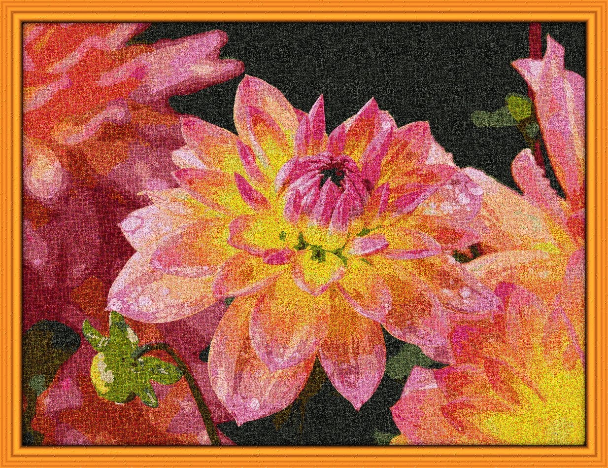 2024-02-25 18-33-01 garden-dahlia-61546_1280, having a knitted look, on 25 colour areas, using pattern Knit_New_RoughL200.jpg..jpg