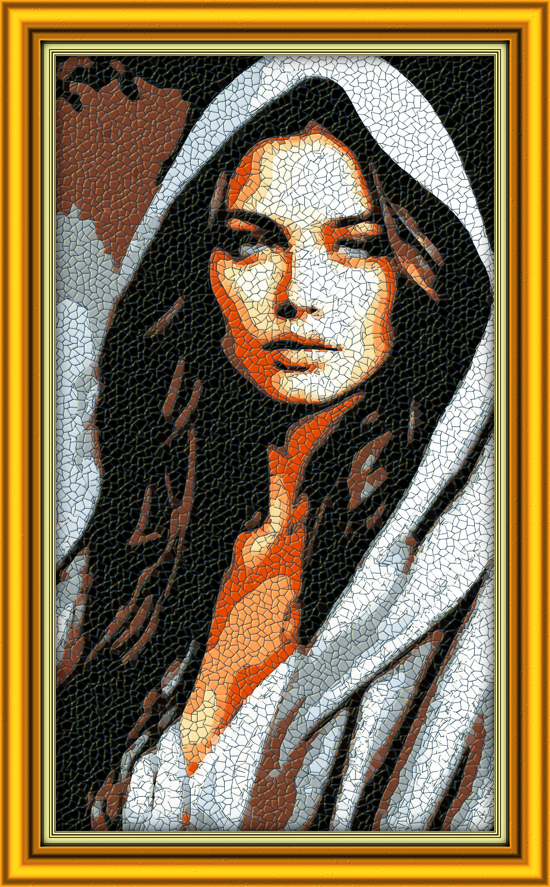 2024-03-09 09-05-54565ef63f6a0698b3e1b26b0a3249d622, having a poster-mosaic look, on 12 colour areas, with sat adj.jpg