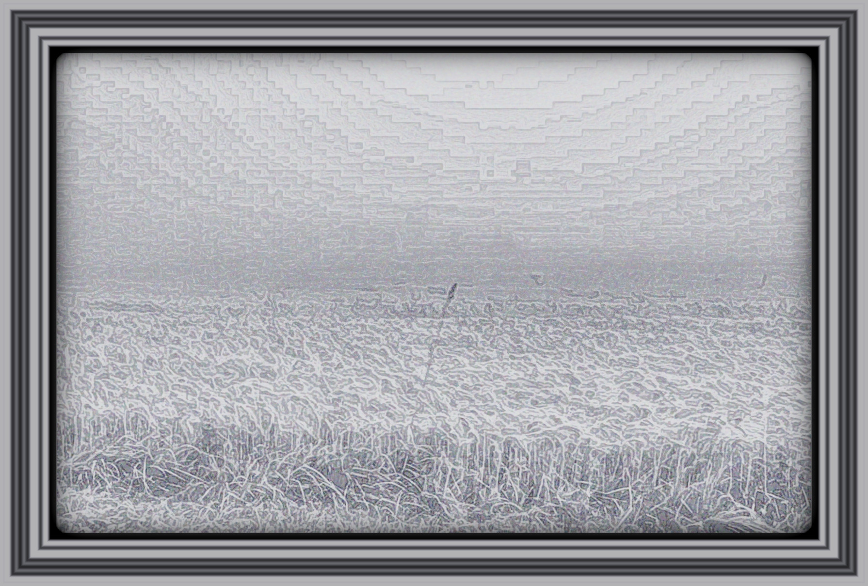 2024-03-27 09-42-15 grey_field__stock_by_ravenslane_dh4gvpe-414w-2x with Lines Art effect, preset=3000,35.0,3.5,Pen Drawing,0,[200,201,208],3,1.jpg