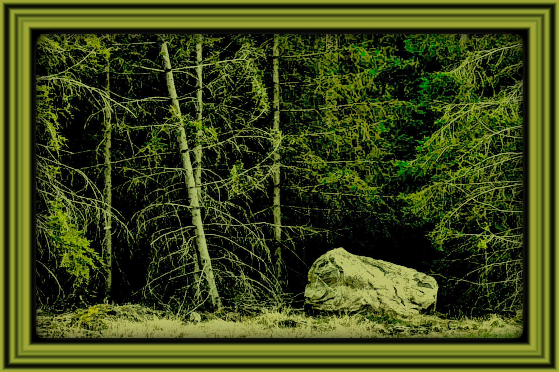 2024-03-28 09-52-26 a_stone_in_the_forest___stock_by_ravenslane_dh3u9fz-414w-2x with Lines Art effect, preset=3000,35.0,3.5,Pen Drawing,1,[138,151,46],0,1.jpg