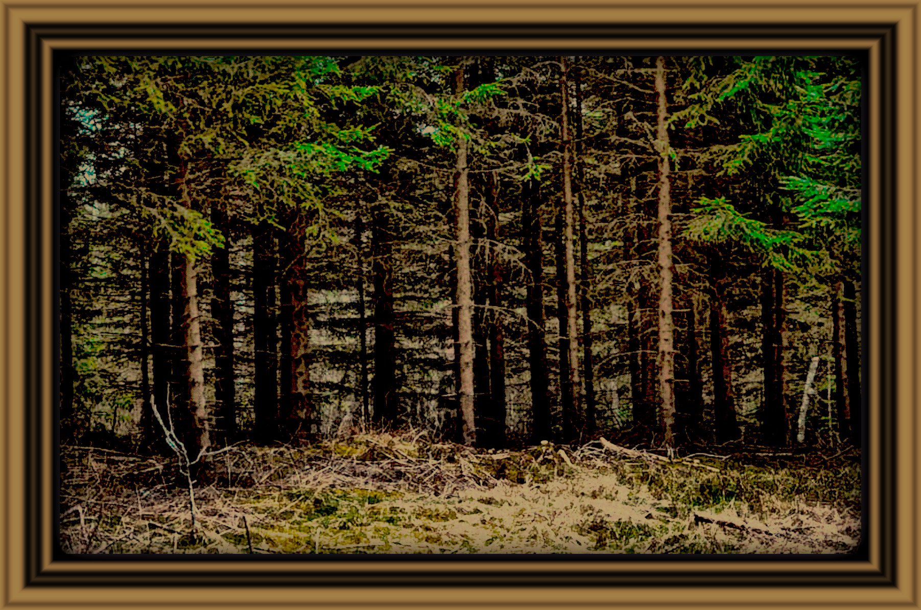 2024-03-28 09-50-07 deep_in_the_forest_by_ravenslane_d65kmhg-414w-2x with Lines Art effect, preset=3000,35.0,3.5,Pen Drawing,1,[136,106,54],0,1.jpg