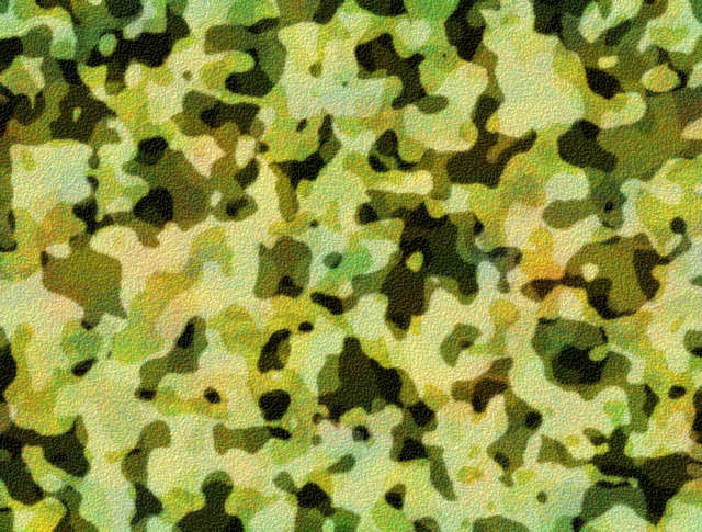 Test_Camouflage.jpg