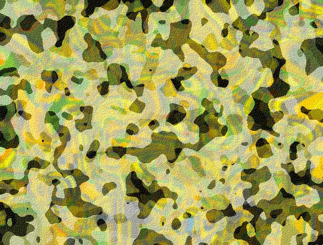 Test_Camouflage_2_samj.jpg