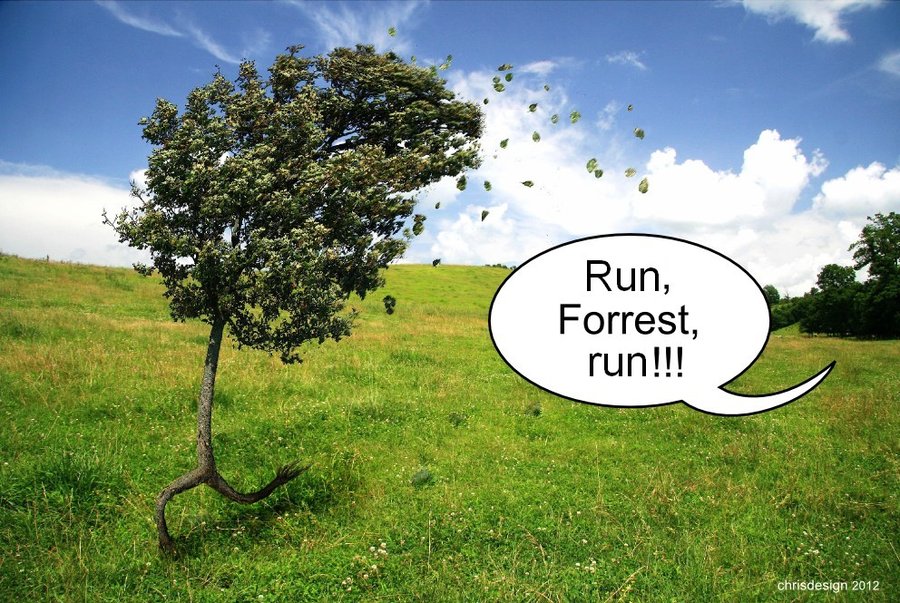 run__forrest_run__by_chrisdesign-d58rdat.jpg